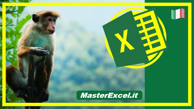 Corso di Excel Intensivo: Cambia il Tuo Excel in 1 Ora