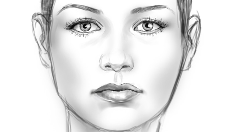 Foundation for Digitally Sketching a Face