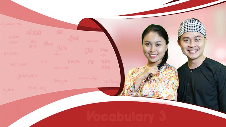 Vietnamese Vocabulary Course 3