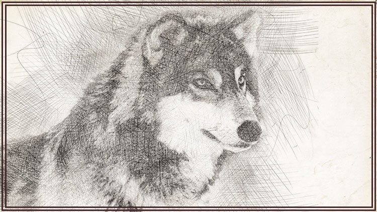 Cómo dibujar Animales - Dibujo artístico -