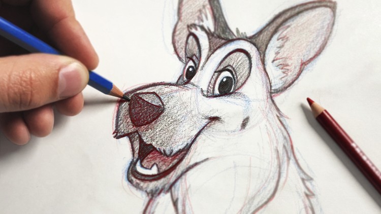 Masterclass of Animal Drawing Beginner to Advanced  Ava Moradi   Skillshare