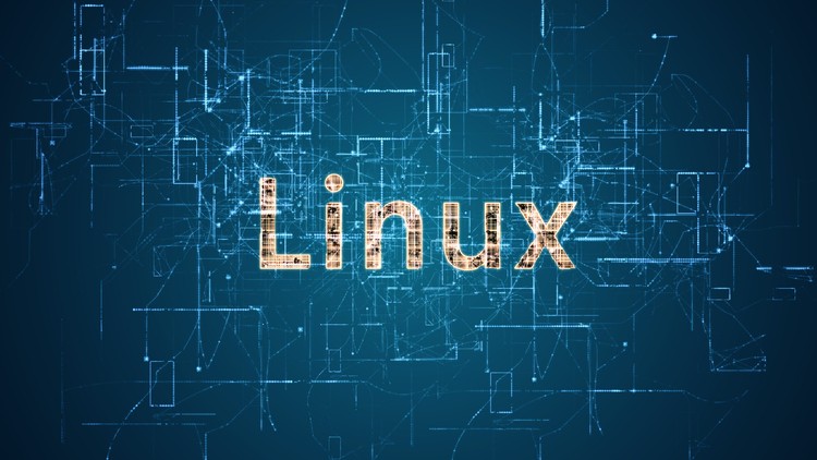 20時間で【Linux】マスター！！基礎、シェルスクリプト、Docker基礎、ネットワーク 、セキュリティを体系的に解説