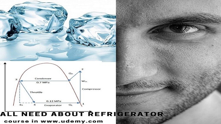All you need to know about the Refrigerator