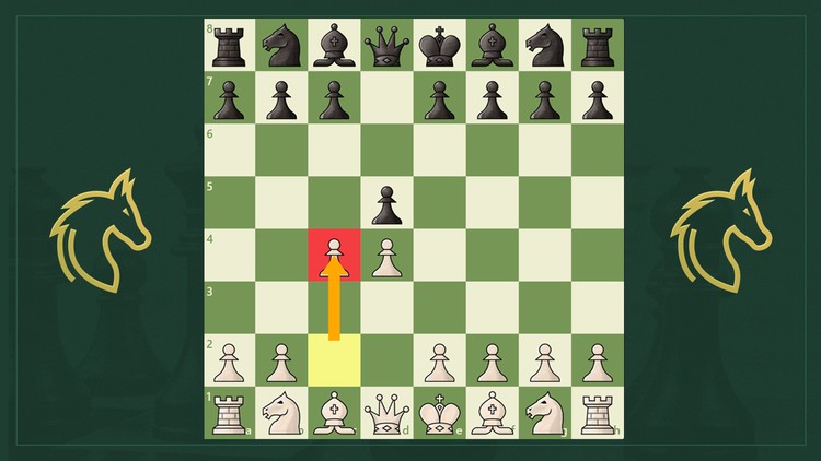 Jogando de pretas no xadrez - Abertura Gambito da dama Recusado 