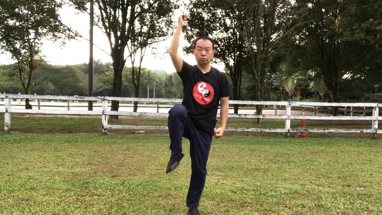 8 Basic Tai Chi Movements for Better Balance, Reduces Falls