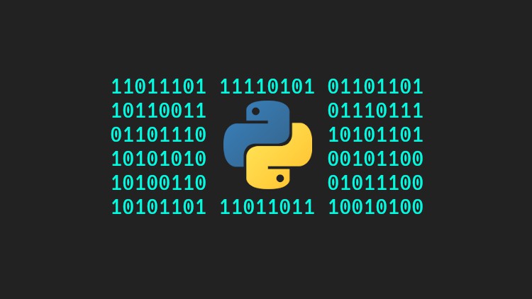 What Is Binary Data In Python