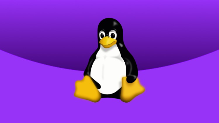 Linux | Fondamentaux et Scripting Shell