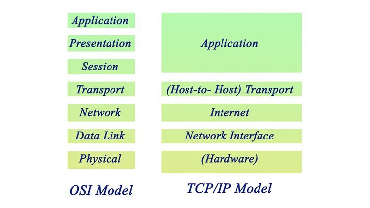TCP/IP Reference Model: Layers and Protocols