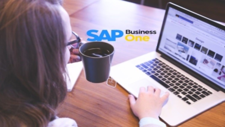 SAP BUSINESS ONE - Soporte Técnico en los Procesos