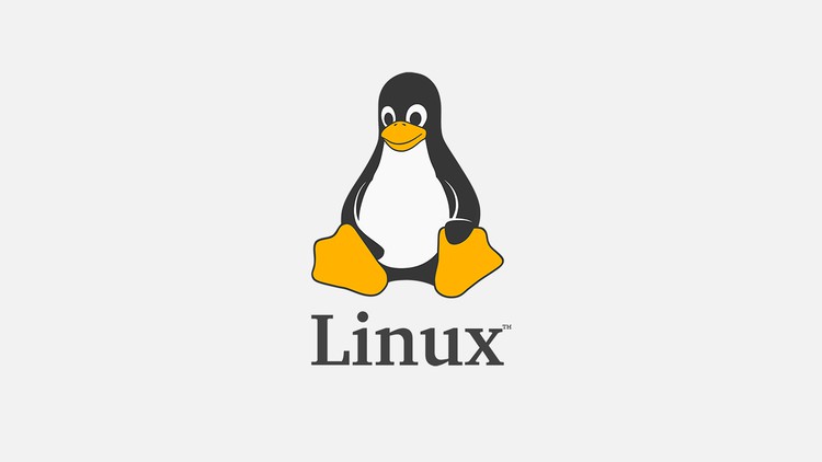 مقدمة إلى أهم أوامر لينكس أوبنتو - Ubuntu terminal