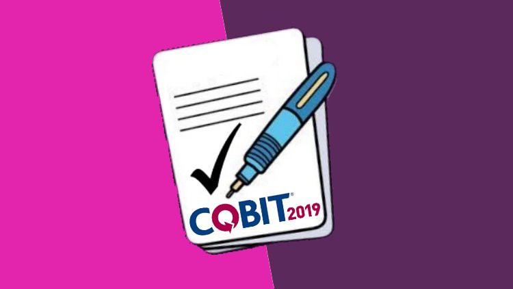 Updated COBIT-2019 Dumps