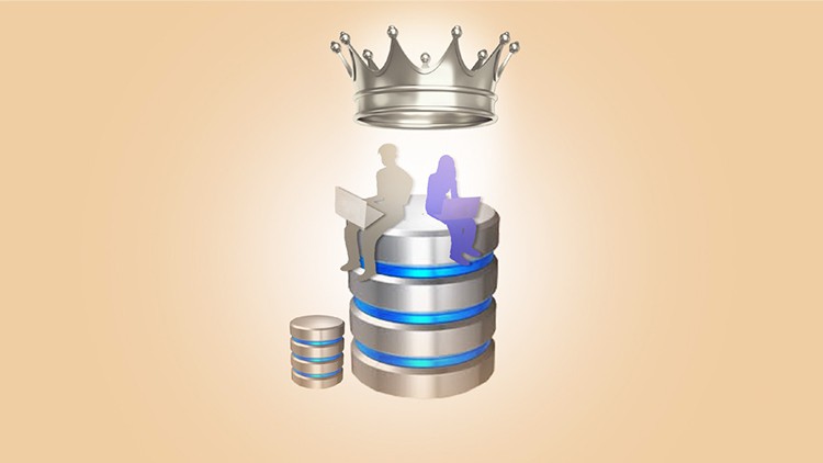 Oracle Veritabanı Yönetimi, Database Administrator(DBA) (1)
