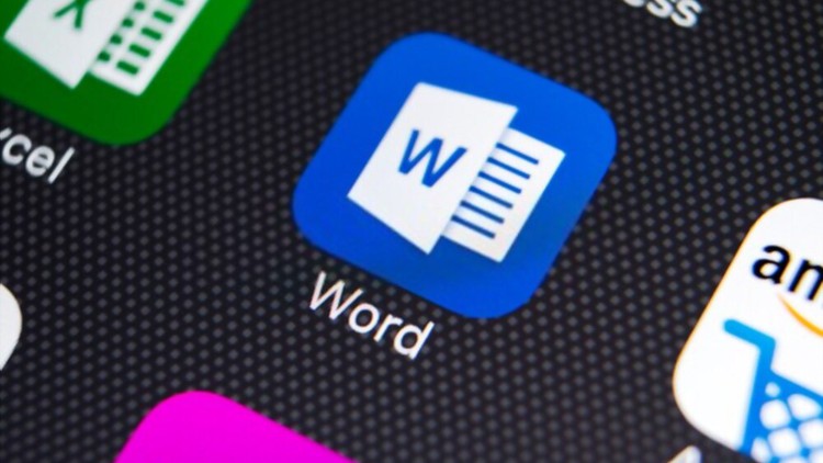 Microsoft Word- MS Word Basic to Advance Training Course