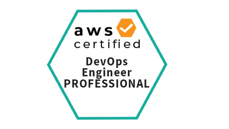 DevOps-Engineer Valid Exam Sample