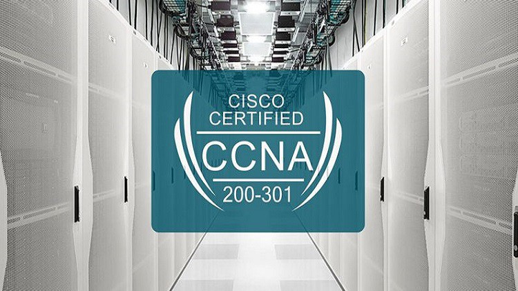 Cisco Certified Network Associate (200-301) Practice Exam Sns-Brigh10