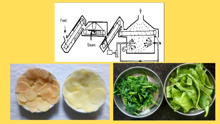 importance-of-blanching-in-food-processing-free-course