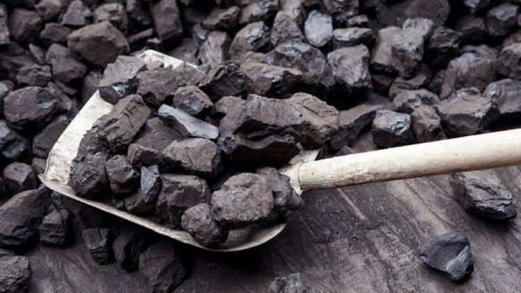 Analysis of Coal