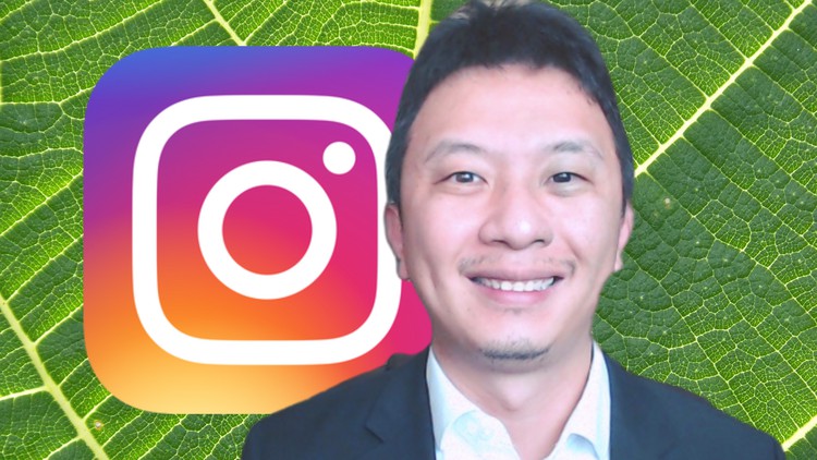 Instagram Mastery  | Leverage the power of social media