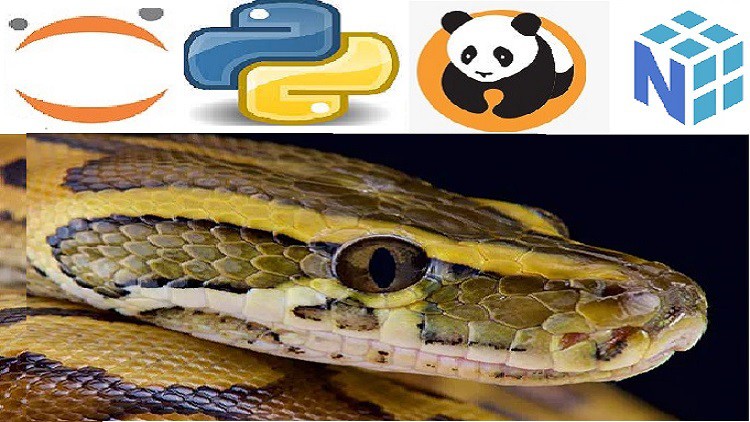 2022 Python Bootcamp for Data Science Numpy Pandas & Seaborn