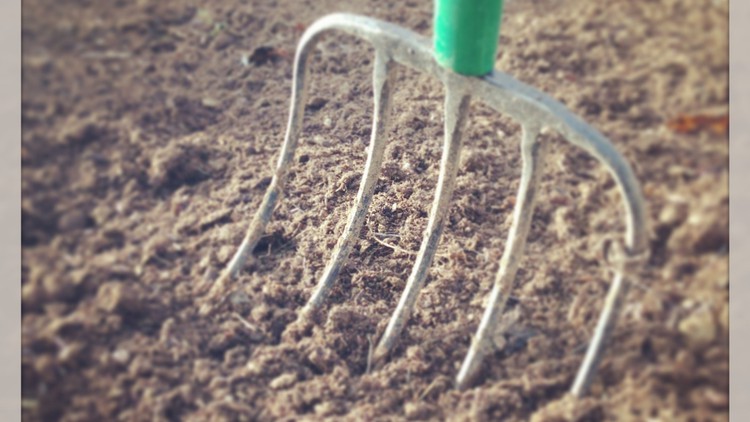 Building Soil From Scratch For Beginners Building Soil From Scratch For Beginners