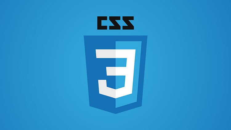 CSS3 Practice Tests for all Exam | Certification | Interview