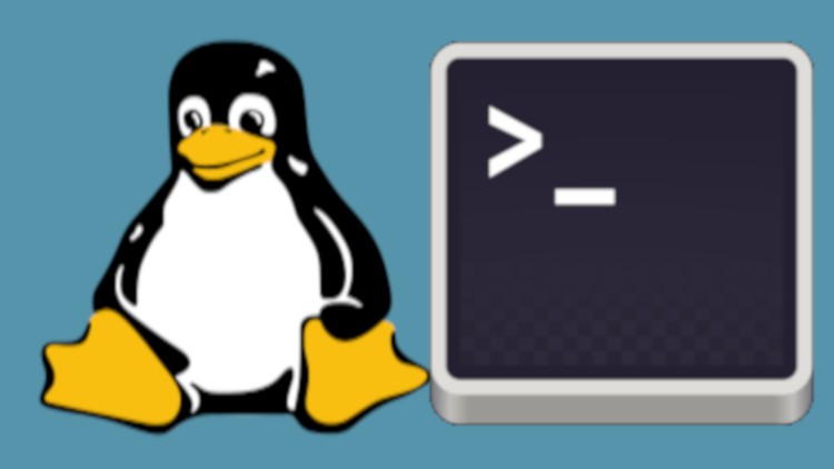 Explore Linux Commands, Shell Scripting over a weekend