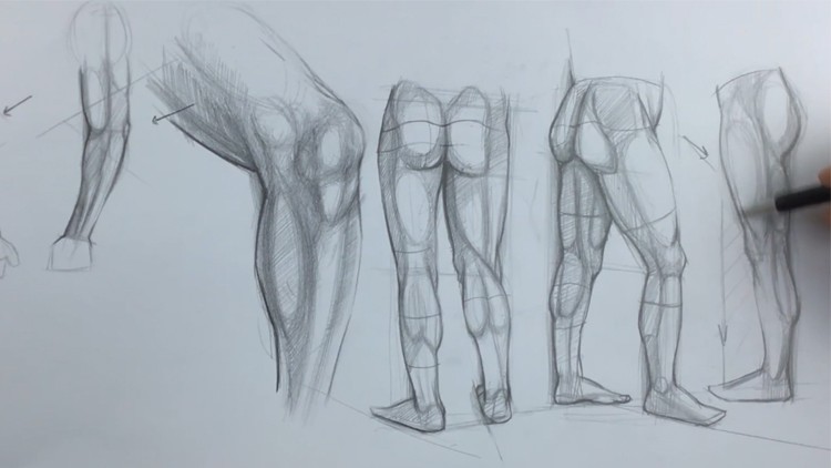 Anatomy And Figure Drawing Course with Charcoal Drawing