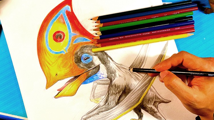 Learn How to Draw in Colored Pencils - Drawing Course