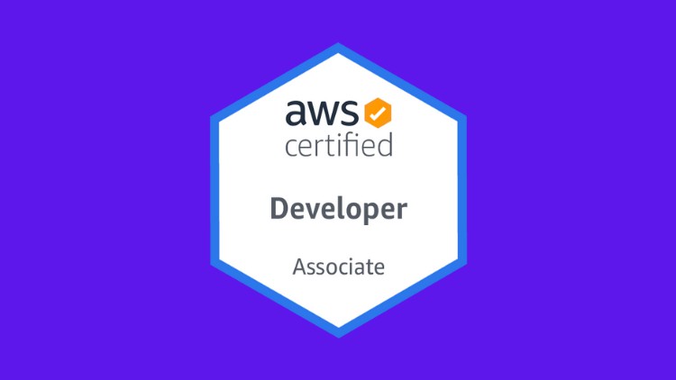 AWS Certified Developer Associate Practice Exams