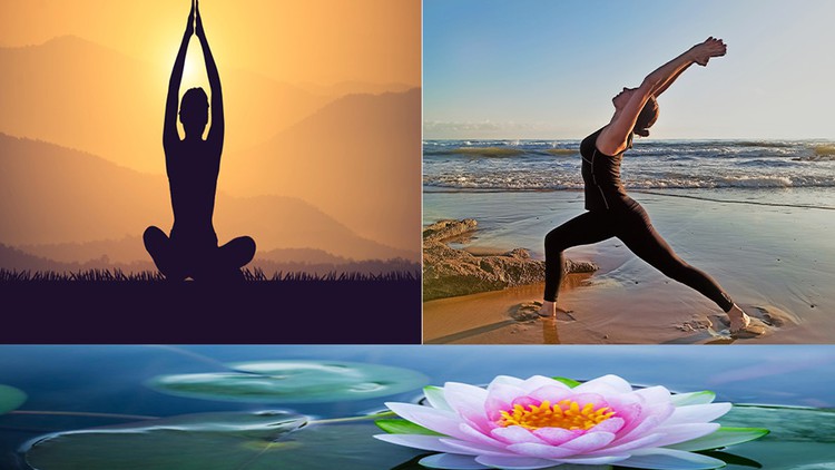 Yoga pour Débutants. Challenge 10 séances de 20'