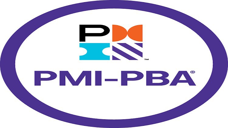 TOP Business Analyst Certification (PMI-PBA) Practice Tests