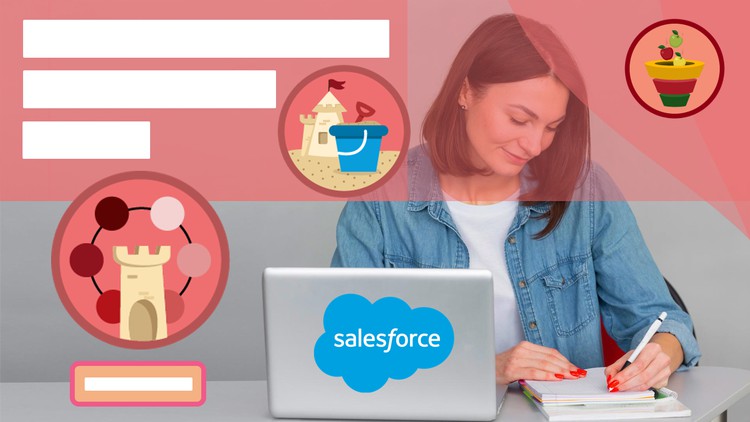 Salesforce Administrator: 210 Exam Questions