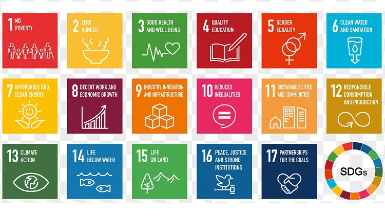 Understanding SDGs