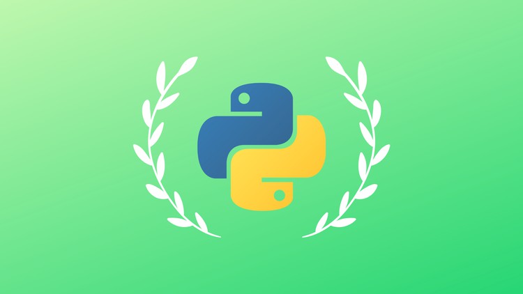 100 Days Of Code Python Projects