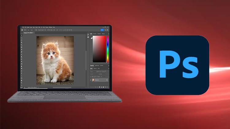 Adobe Photoshop CC For Absolute Beginner to Advanced