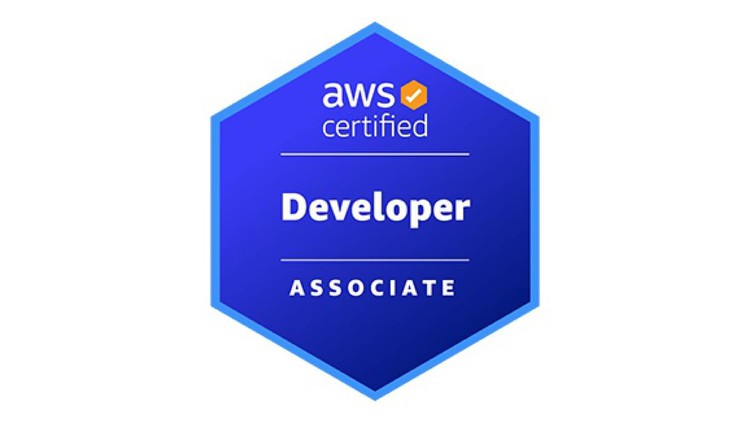 DVA-C01: AWS Certified Developer - Associate Practice Exams