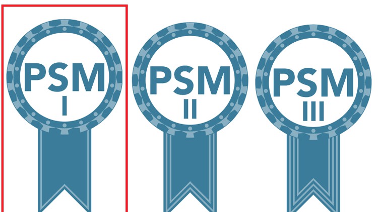 Professional Scrum Master-PSM1 Practice Exam Questions 2022