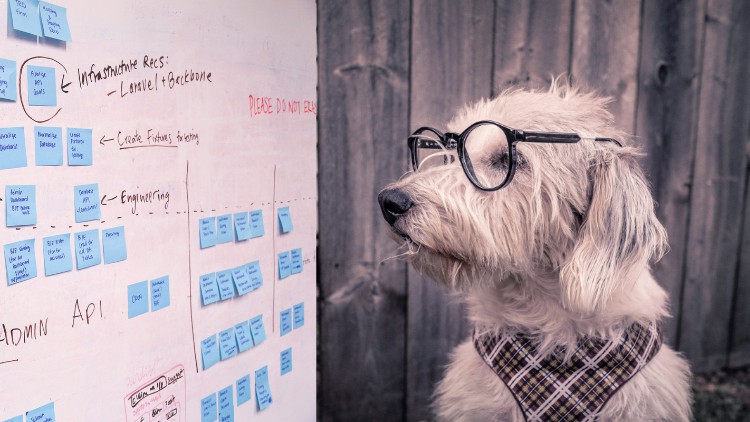 Agile Basics for CAPM Exam
