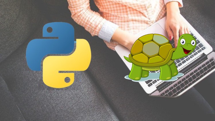 python-turtle-in-hindi-free-course