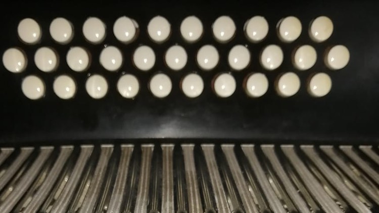 Curso de acordeon para principiantes