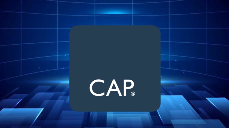 ISC CAP Certification Practice Test 2024