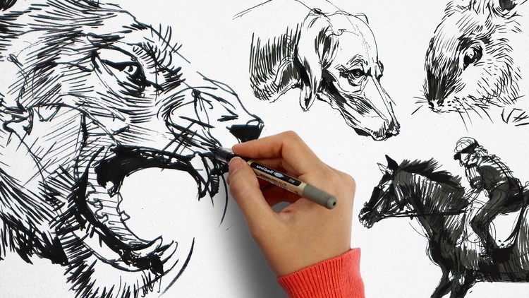 Masterclass of Animal Drawing: Beginner to Advanced - Coupon