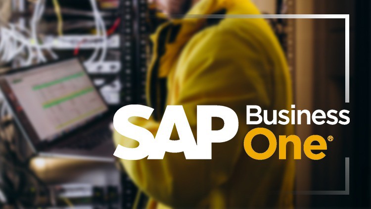 SAP Business One: Curso avanzado de implementacion