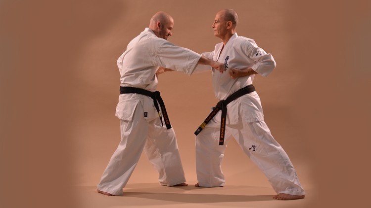 Kyokushin Karate Syllabus Prüfungsprogramm Vol.2