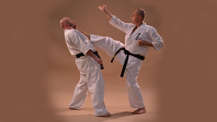 Kyokushin Karate Syllabus Programa de Examen Vol.2