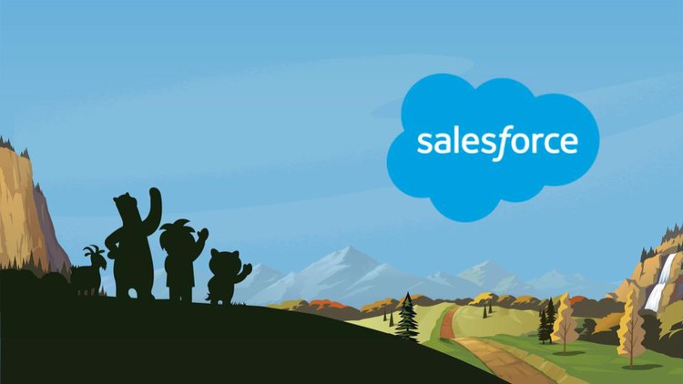 Salesforce Essentials - The Complete Bootcamp