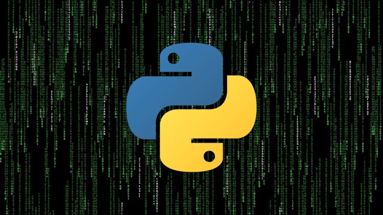 Python Proficiency Builder: 4 Practice Test Series 2023