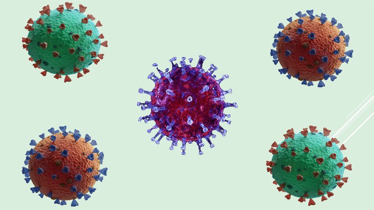 Microbiology: Virus: An Obligate Intracellular Parasite