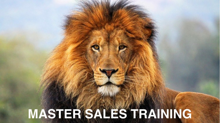 Master Sales Training
