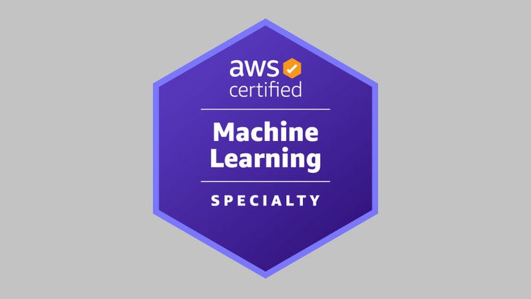 AWS Certified Machine Learning Specialty MLS-C01 [2024]